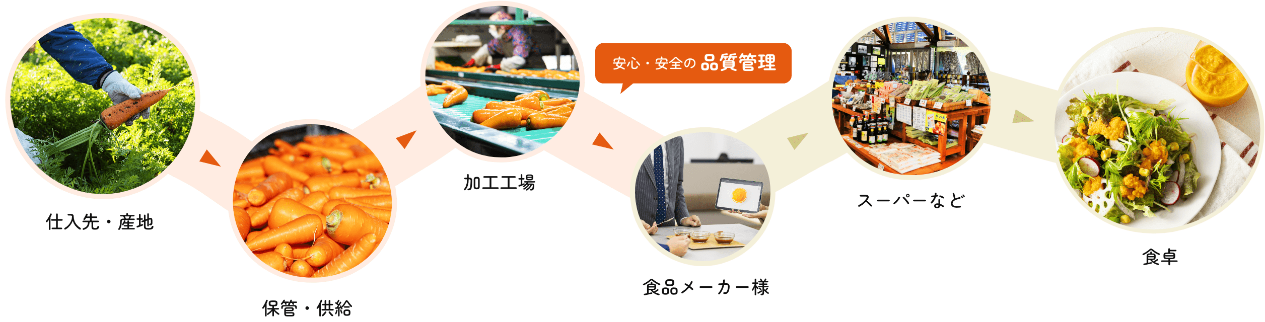 産地の情報収集から調達、保管・供給、加工までのプロセス