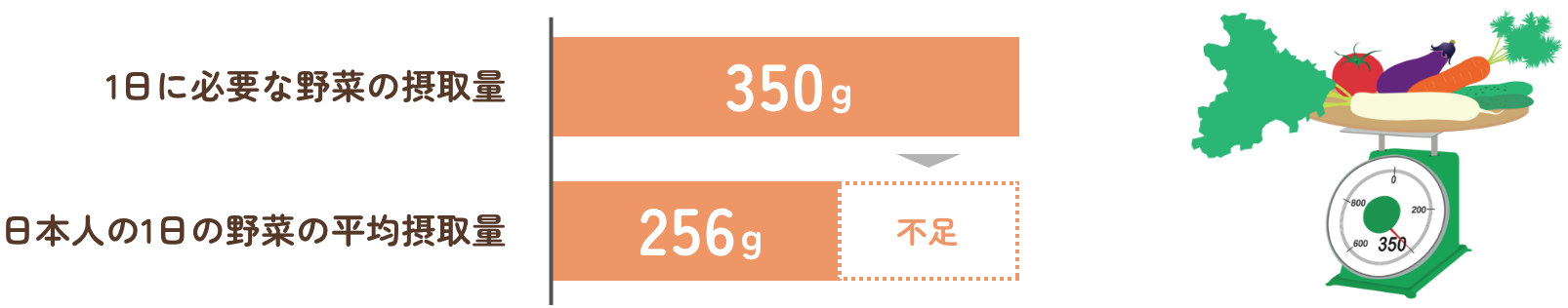 野菜の摂取量