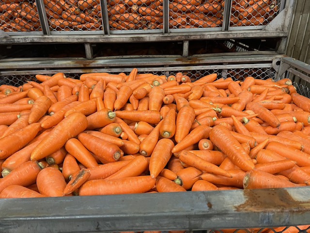 北海道　出張報告