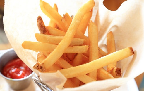 展示会に出展しました！